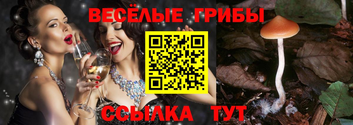 Санкт-Петербург  где продают   Вход с VPN  Псилоцибиновые грибы Magic Shrooms 
